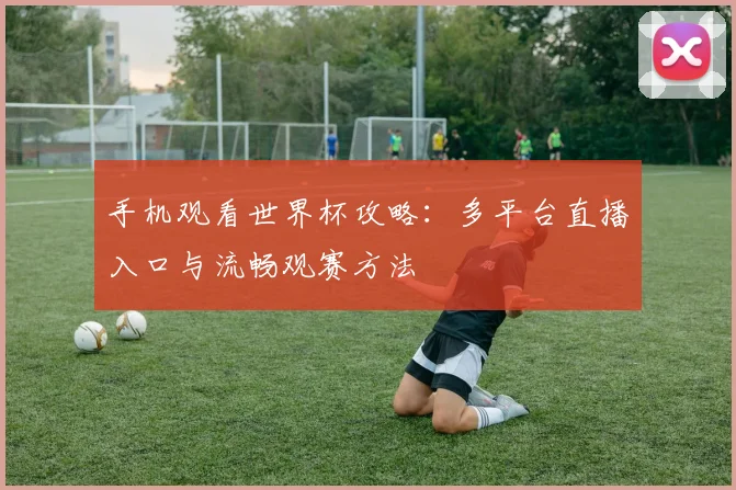 手机观看世界杯攻略：多平台直播入口与流畅观赛方法