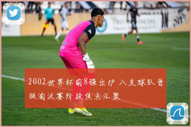 2002世界杯前8强出炉 八支球队晋级淘汰赛阶段焦点汇聚