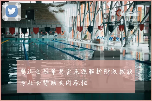 奥运会冠军奖金来源解析财政拨款与社会赞助共同承担