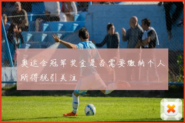 奥运会冠军奖金是否需要缴纳个人所得税引关注
